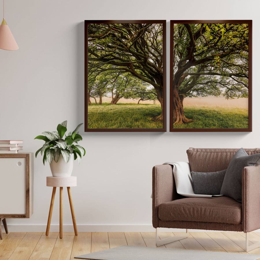 kit Quadros Paisagem Arvore