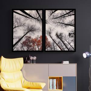 Kit Quadros Decorativos Floresta | Wallze