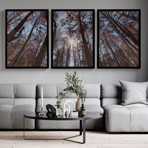 ambiente-kit-quadros-paisagem-auracaria-moldura-preta