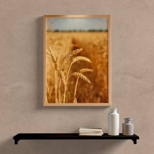 Quadro Decorativo Paisagem