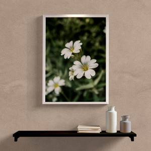 Quadro Flor